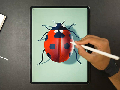 Ladybug drawing icon illustration ladybug