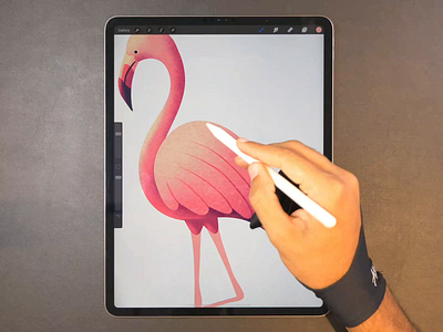 Flamingo drawing flamingo icon illustration