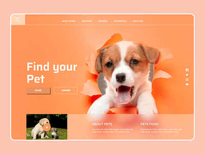 Pet Web Design art design designs eclean latest new ui uidesign ux web