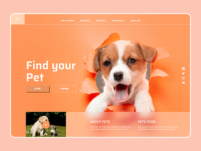 Pet Web Design