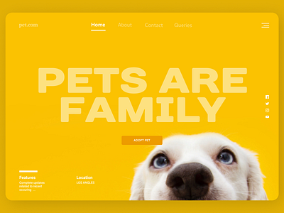 Pet Online app design designs shopify ui uidesign ux uxdesign web website