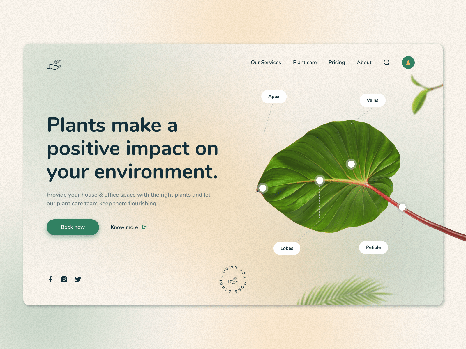 Plants in people's lives 3d animation branding design graphic design logo motion graphics people plant plants shop store typography ui ux vector