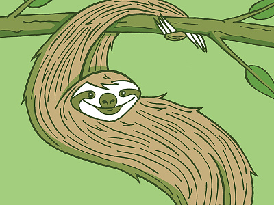 S is for Sloth animal illustration sloth