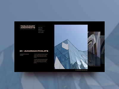 TERLD DAR Architects - Website Concept  (2 of 3)