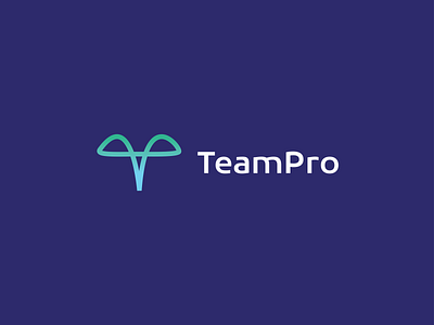 TeamPro