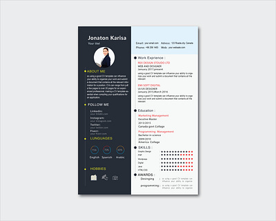 RESUME DESIGN branding cover lrtter cv writing design graphic design professonal resume resume design