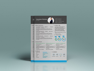 Resume Design branding cover lrtter cv writing design graphic design illustration professonal resume resume design
