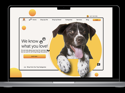 Pet website design design illustration ui website