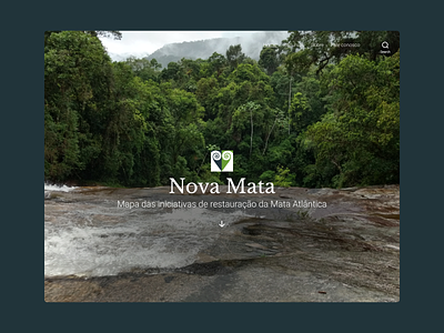 Nova Mata homepage brazil environmental webdesign