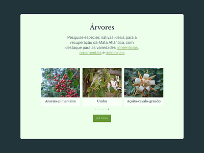 Nova Mata homepage section brazil environmental webdesign