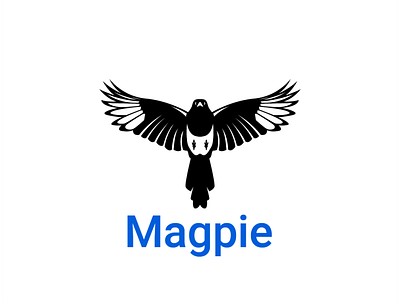 Magpie bird magpie magpie flying