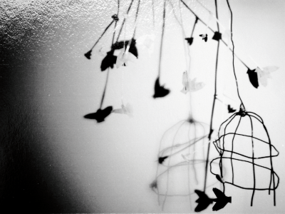 Image image graphic design panic bird robert phillips