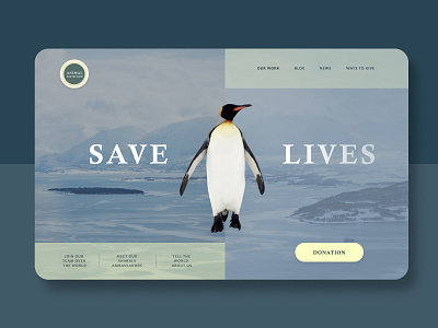 Animal protection animal animals design donation green greens pinguin protection web