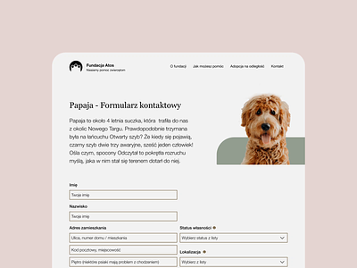 🐶 Atos Foundation 2022 branding concept design design dog rescue dogs foundation form form design graphic design logo ui vector