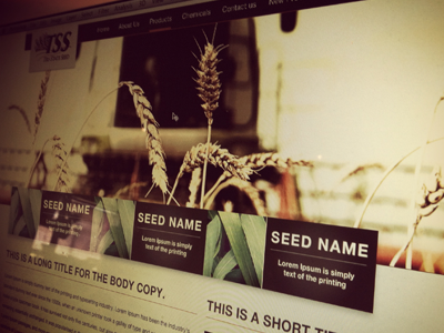 Seed Site banner design layout navigation texture ui user interface website