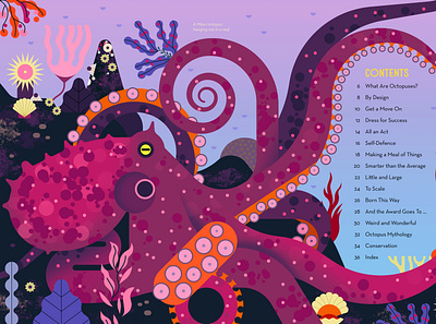 Octopus animal childrens book digital education folioart illustration nature owen davey science