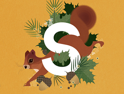 Squirrel alphabet animal digital folioart illustration nature plants sally caulwell texture vector wildlife