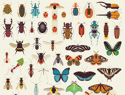 Insects childrens digital folioart illustration insects science