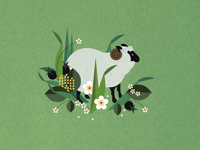 Sheep animal botanical digital floral folioart illustration nature sally caulwell vector