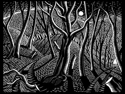 Trees book digital environment folioart illustration lino linocut nature nick hayes publishing trees