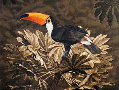 Toucan bird finn campbell notman folioart illustration nature oil painting wildlife