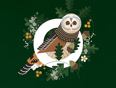 Owl alphabet digital folioart illustration nature owl sally caulwell vector wildlife