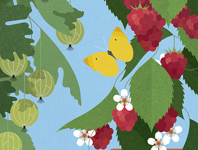 Grow Your Own Grub botanical digital folioart food illustration sally caulwell sustainable texture vector