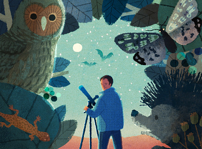 Sky at Night animals digital editorial folioart hifumiyo illustration texture wildlife