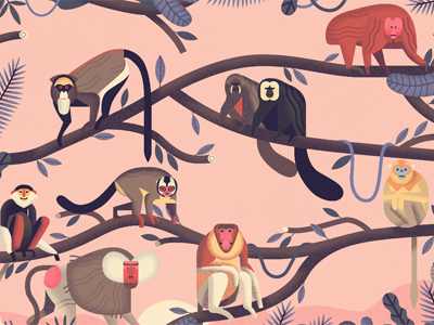 Owen Davey's Monkeys illustration monkey nature