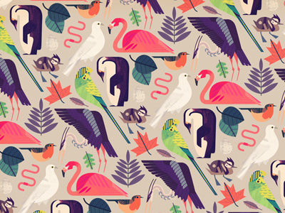 Bird Search illustration pattern