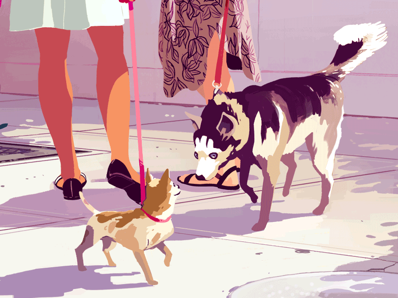 Dogs animation dog gif illustration