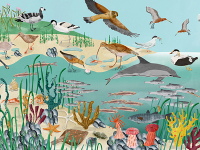 Natuurmonumenten animals art beach birds digital fish illustration land media nature water