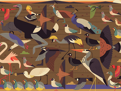 Shawati Magazine abu dhabi birds creatures editorial folio art graphic owen davey series shawati vector