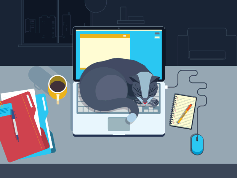 Nest animation cat desk digital gif illustration laptop sleep vector