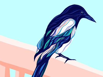 Procreate apple bird digital drawing illustration ipad magpie procreate