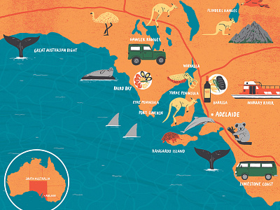 South Australia animals australia digital editorial illustration map travel