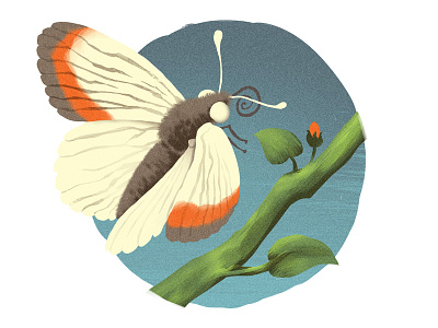 Early Spring digital editorial illustration insect moth nature night spring