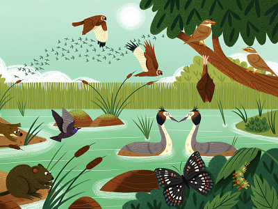 What Do Animals Do All Day? animals book childrens digital illustration nature publishing wildlife