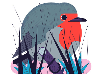 Robin bird digital editorial graphic illustration nature robin wildlife