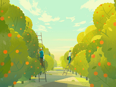 Orange Trees advertising agriculture digital farming illustration landscape orange people trees