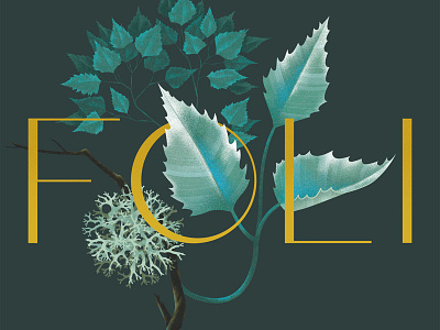 Foli Packaging botanical design digital illustration leaves nature packaging