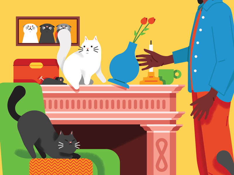 Why Does My Cat Do That? illustration petcare petsathome cats cat