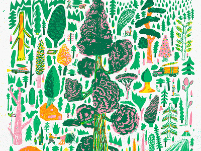 Coniferous botanical coniferous forest illustration nature nicholasstevenson screenprint trees woodland