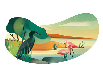 Doha birds digital editorial folioart graphic illustration jiayiliu landscape nature wildlife
