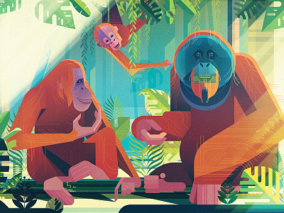 Orangutans animals book digital folioart gilleard illustration james jungle nature publishing