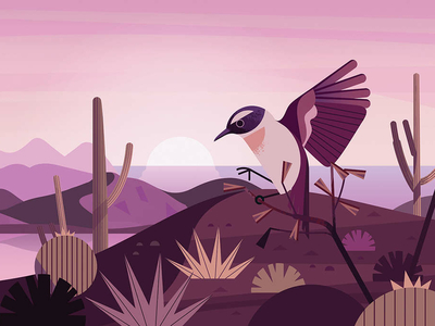 Canaries bird digital folioart illustration landscape nature owen davey travel wildlife