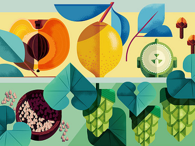 Stiegl beer design digital folioart fruit illustration maite franchi mountains packaging texture