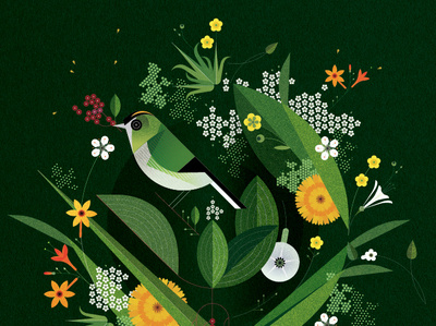 Goldcrest bird decorative digital floral folioart geometric graphic green illustration nature pattern plant sally caulwell