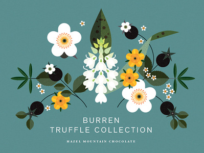 Truffle Collection botanical digital floral folioart graphic illustration leaves packaging sally caulwell