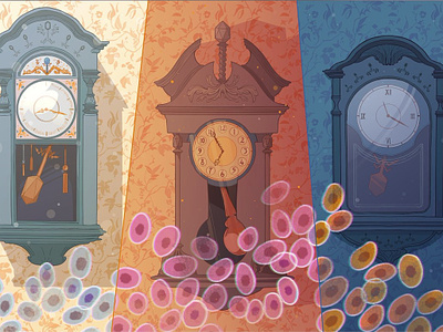 Body Clock clock conceptual digital editorial folioart illustration ricardo bessa science